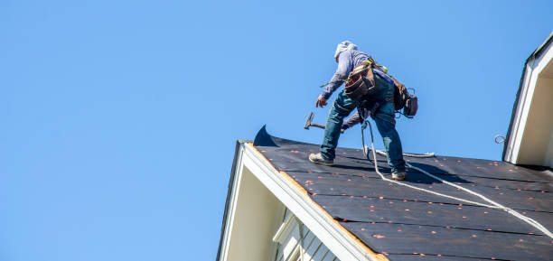 Best Roof Gutter Cleaning  in Schofield, WI